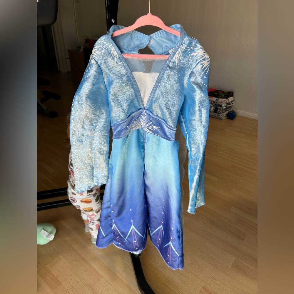 Else Frozen Costume Dress